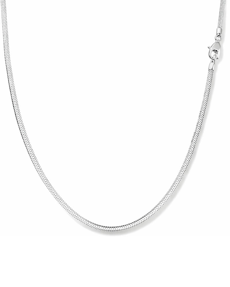 Choker Lacraia Prata 925